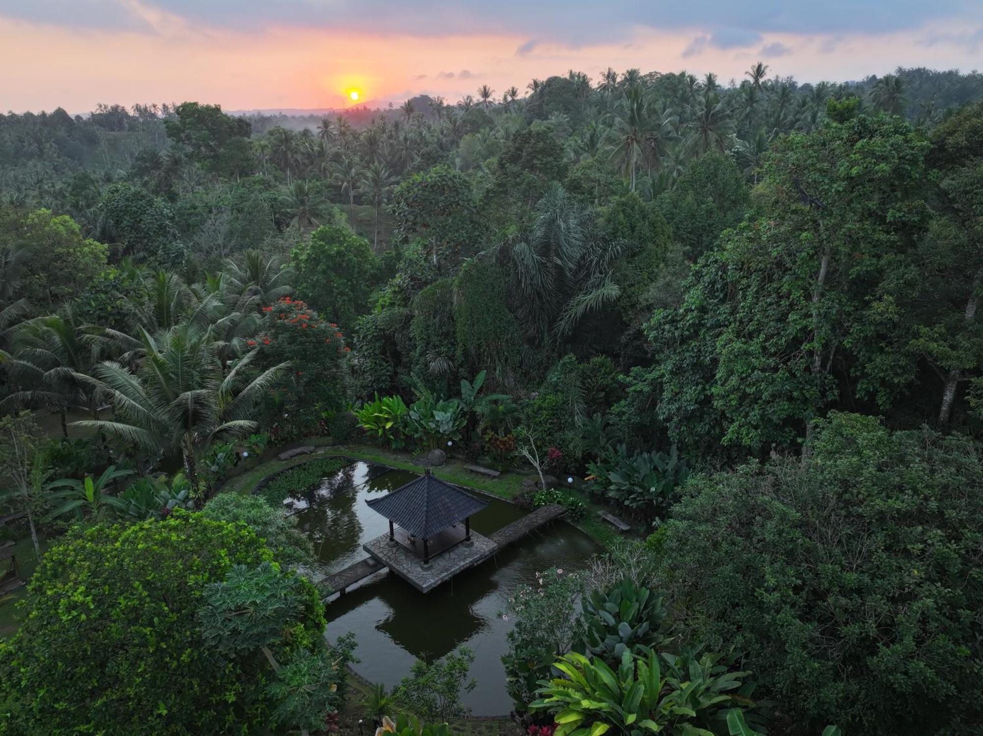 Ferienwohnung Bali Palms Selemadeg Exterior foto